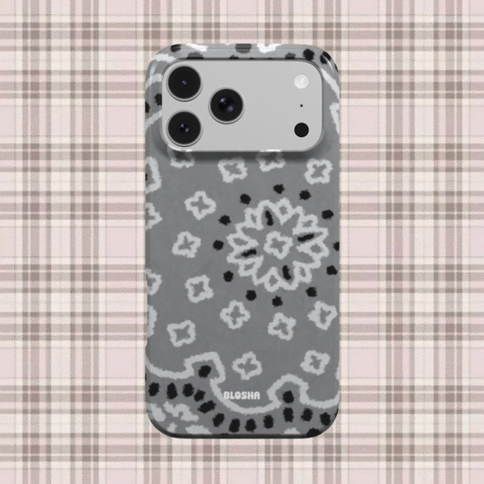Dusty Paisley