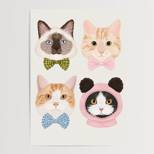 Fancy Cats